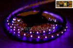 Ta�ma led 12V fioletowa 5m/300 di�d